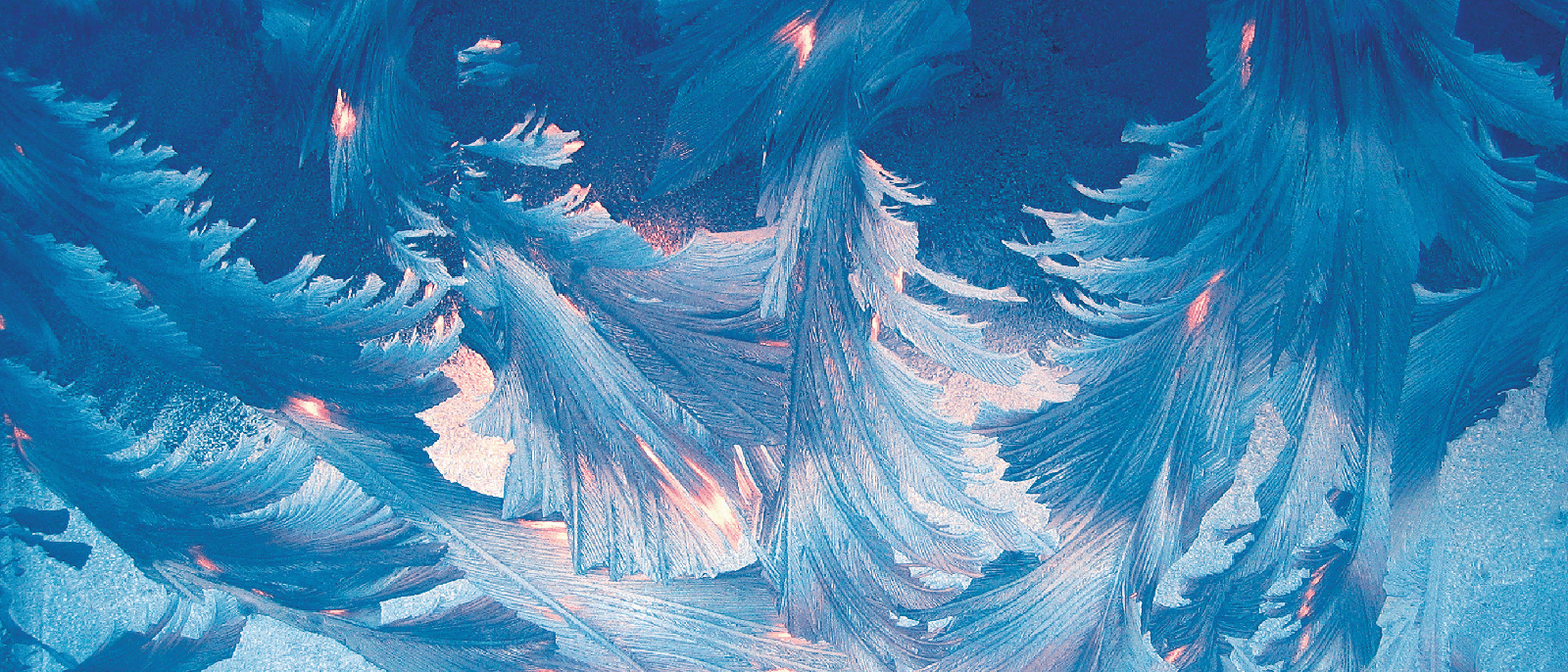 Website homepage slide v3