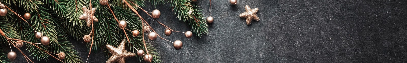 Christmas Lh Banner Flipped