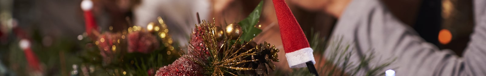 Christmas Lh Party Nights Banner