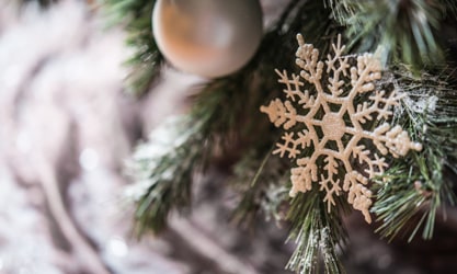 Christmas Lh
