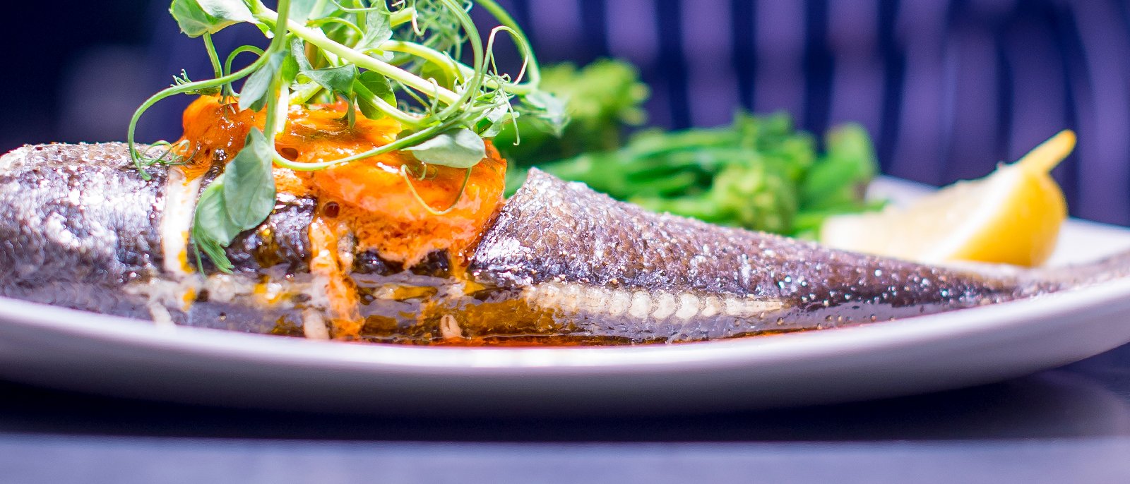 Food And Drink Banner 5