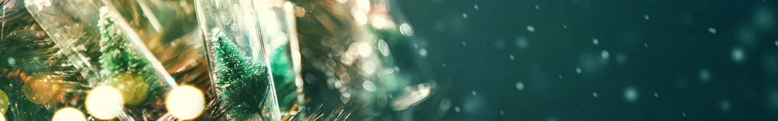 Xmas Landing Page Banner